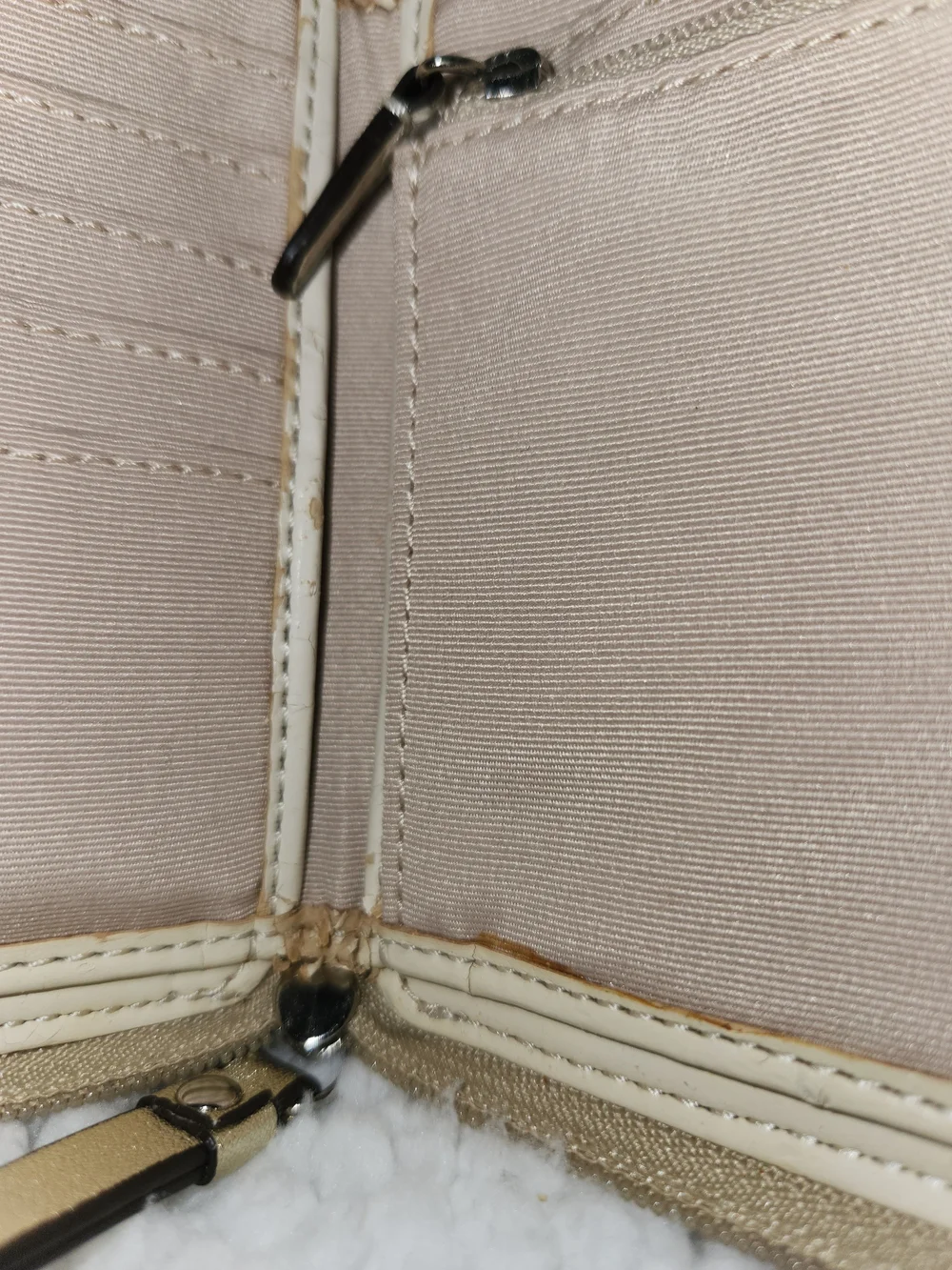 Coach classic signature